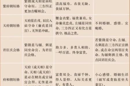 紫薇斗数解释意思