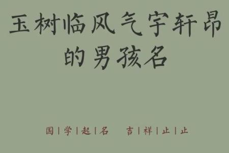 2019年3月27号巳时出生的男孩应该起什么样的名字姓名