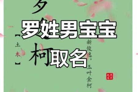 罗姓男孩名字大全-罗姓男孩起名字大全-罗姓名字大全姓名