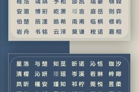 2019年4月21号丑时出生的男孩起名方法姓名