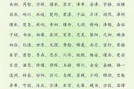 2019年6月30号子时出生的男孩起名方法姓名