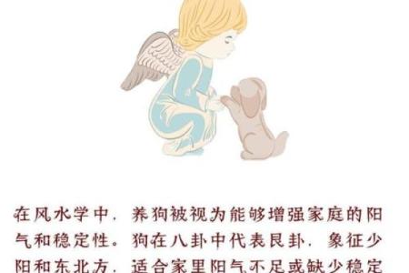 风水上天狗是什么意思象征意义