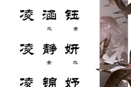 凌姓男孩名字大全-凌姓男孩起名字大全-凌姓名字大全姓名