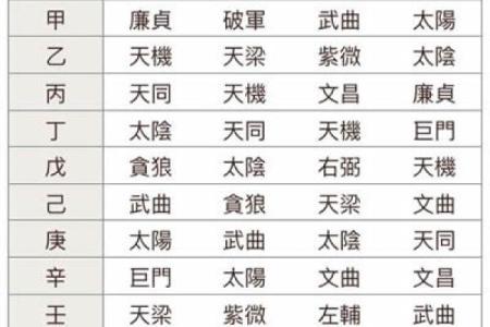 紫薇斗数干的气化