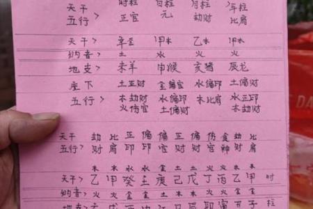 八字透与藏的意思