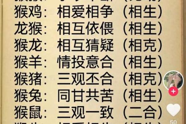 早上八点出生的属猴男孩如何起名，应用什么字姓名