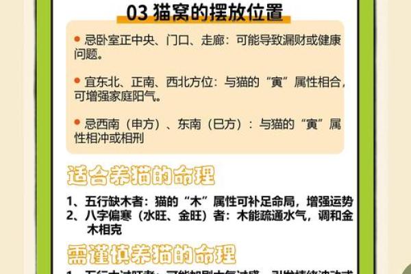 风水上哪几个生肖的人不能养猫禁忌