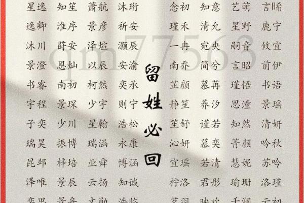 12月份出生的属龙男孩要怎样取名姓名