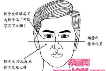姓钟离的名人-姓名学-华易算命网姓名