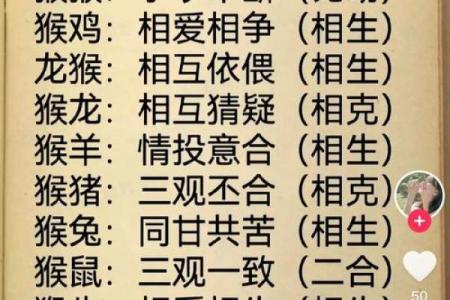 早上八点出生的属猴男孩如何起名，应用什么字姓名