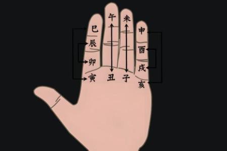 八字巳巳亥
