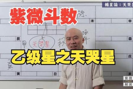 陈明业紫薇斗数