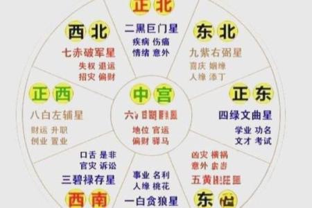 紫薇斗数今日运势