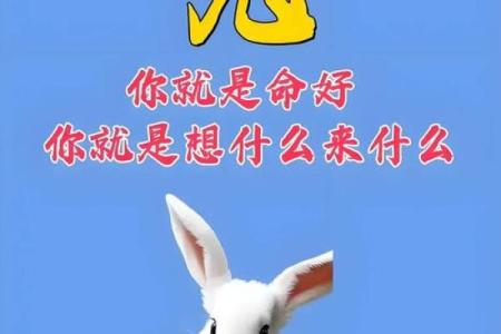 87兔和92猴的八字合不合