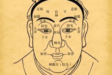男测脸面相算命图解大全