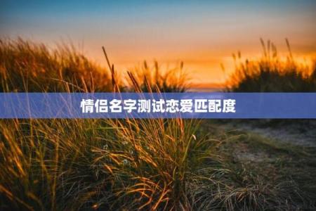 姓名配对爱情测试打分免费 姓名测试爱情缘分配对？