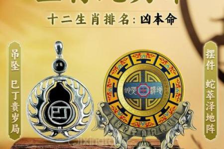 生辰八字两条龙两条蛇