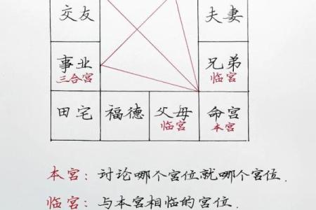 紫薇斗数群聊吧
