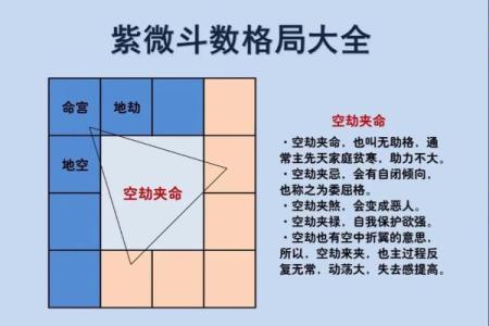 紫薇斗数不入格