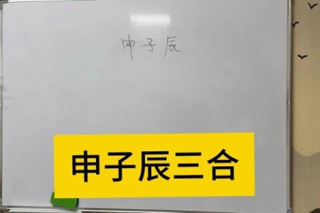 八字申子辰