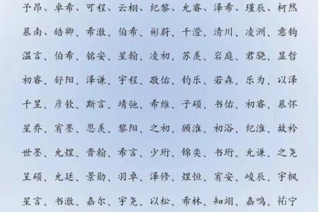 季姓男孩名字大全-季姓男孩起名字大全-季姓名字大全姓名