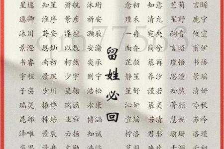 12月份出生的属龙男孩要怎样取名姓名