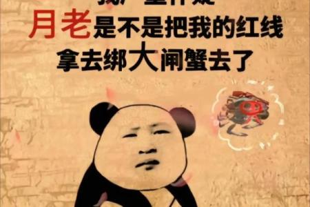 管姻缘的不是月老文案 管姻缘的除了月老还有谁？