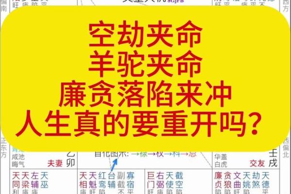 《紫微斗数》：廉贞破军在卯酉宫