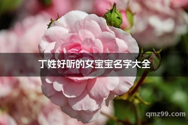 丁姓女孩名字大全-丁姓女孩起名字大全-丁姓名字大全姓名