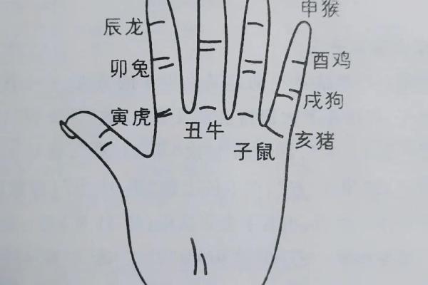 易经网算命