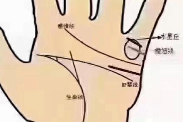 看手相算命图解