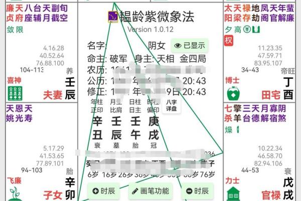 紫薇斗数富翁格局