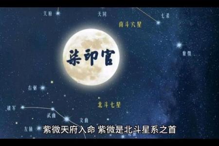 天府星紫薇星入父母宫