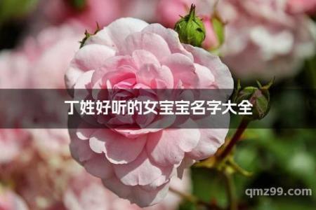 丁姓女孩名字大全-丁姓女孩起名字大全-丁姓名字大全姓名
