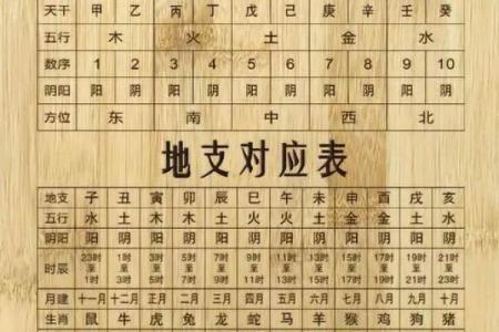 八字天干地支