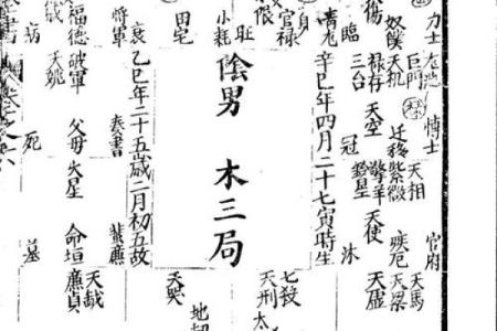 紫薇斗数全书简体