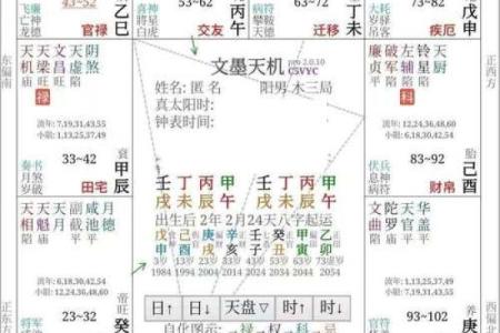 刘台柱紫薇斗数