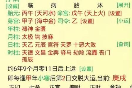 丙申年大富大贵八字组合