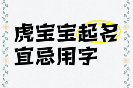 傍晚6点出生的属虎男孩如何起名，宜用什么字姓名