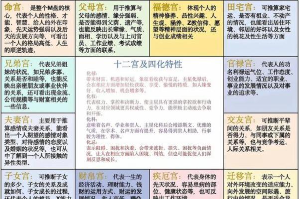 紫薇斗数旬空夫妻宫
