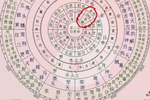 紫薇斗数财帛宫天官