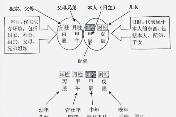 八字四柱的准确位置图