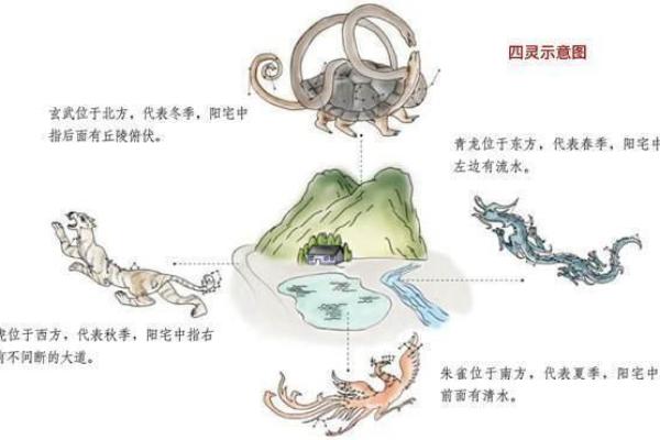 算命六兽排列详解视频