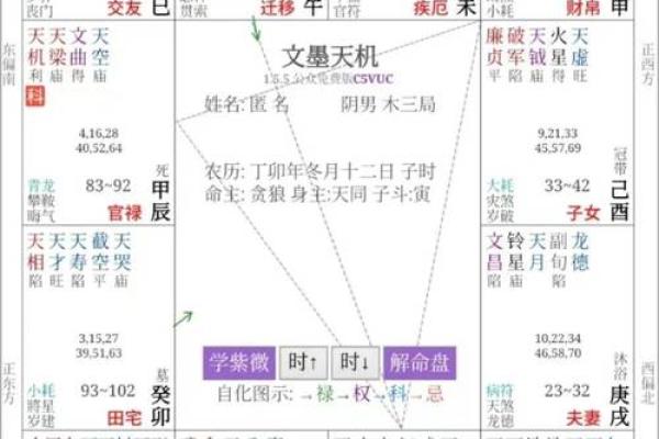 周公紫薇斗数