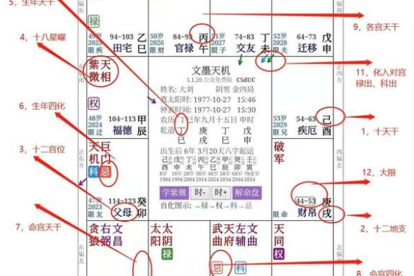 紫薇斗数自化禄