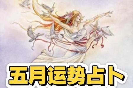 【塔罗测试】五月你的事业运、财运会如何发展？