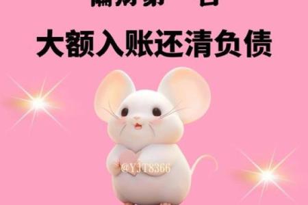 属鼠人风水吉凶方位，如何开运