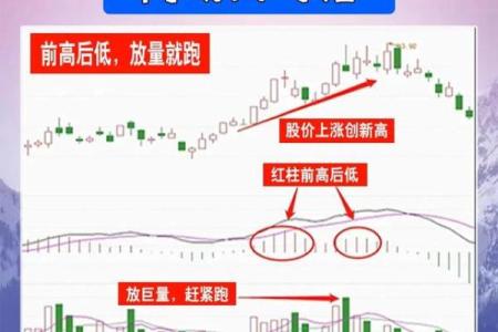 股票与八字