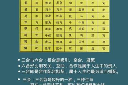 【命理】八字合冲解析及应对方法