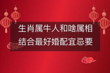 算命合作
